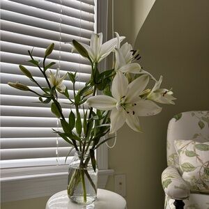 Meet your Posher, Lydia